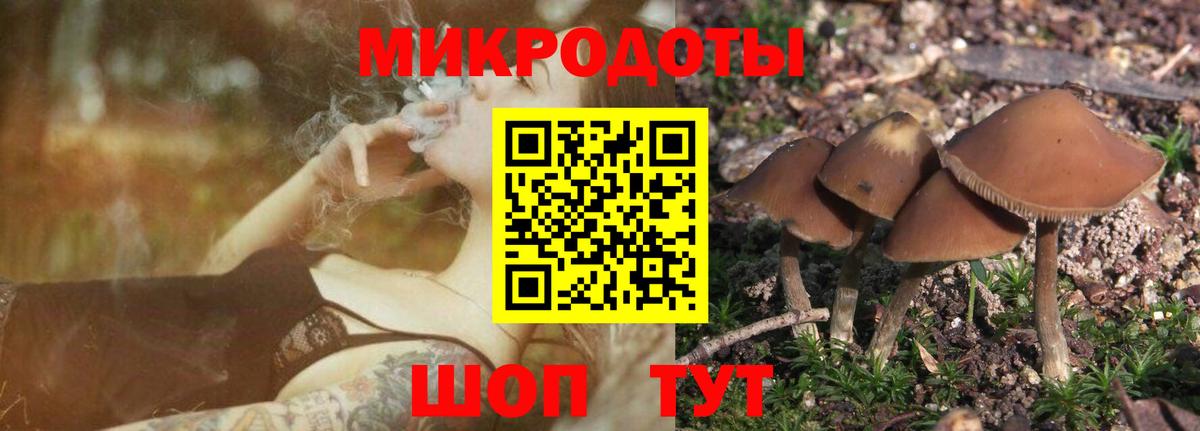 Галлюциногенные грибы прущие грибы  Вход с VPN  Узловая  Псилоцибиновые грибы ЛСД 
